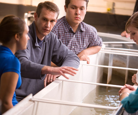 Students and professor observing a water tank in a laboratory.