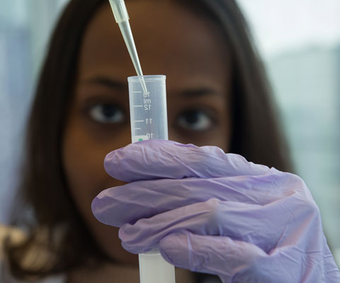 Female student wearing purple latex gloves uses a dropper to add liquid into a test tube.