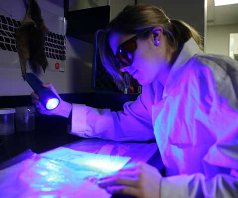 FUne chercheuse portant des lunettes noires protectrices éclaire des feuilles de papier avec une lampe à poche dans un labo.