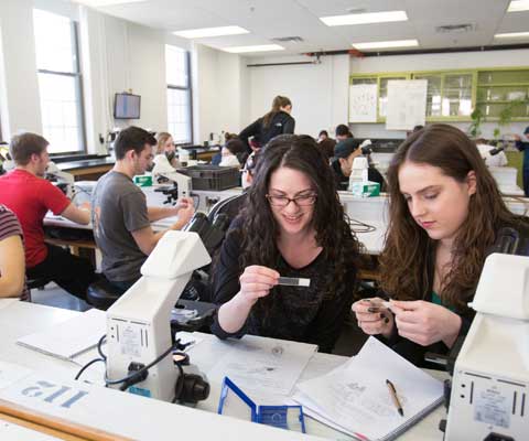 Deux étudiantes travaillent dans une salle de classe.