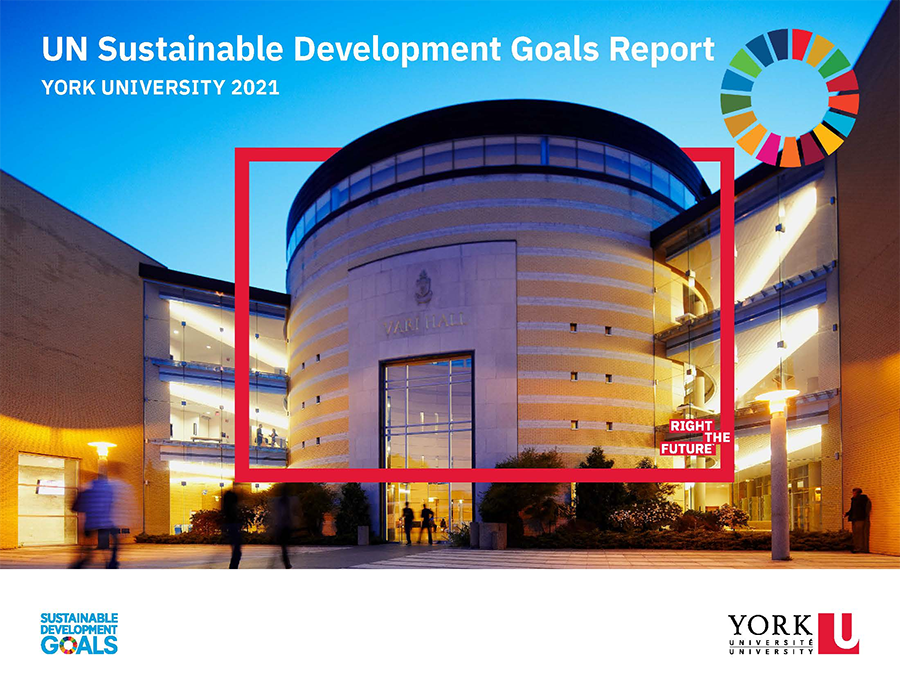 UN Sustainable Development Goals Report
