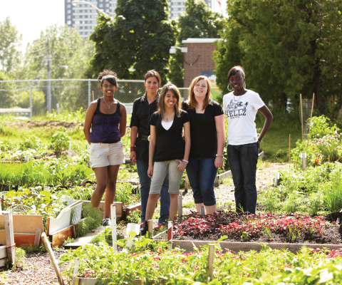 Students standing in a community garden