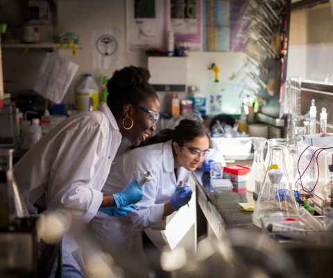 Two student researchers working in a lab
