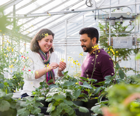 Two researchers in a greenhouse