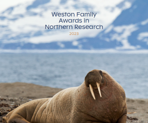 English cover for the Weston Family Awards in Northern Research 2023 publication, featuring a walrus