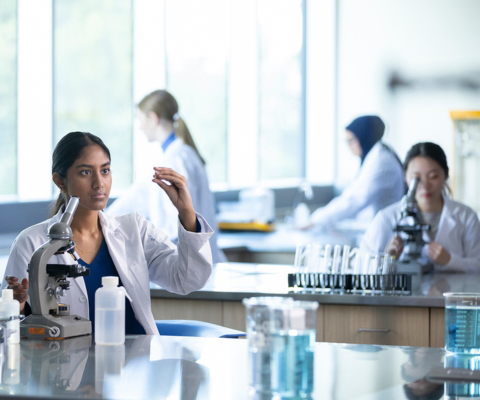 Four women researchers in a lab