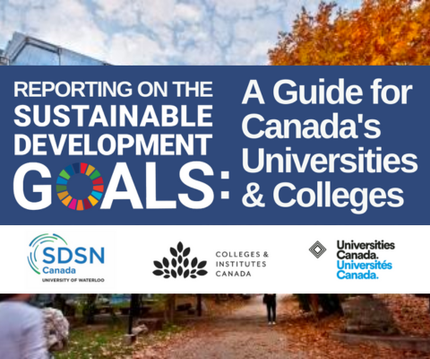 Cover image for Reporting on the Sustainable Development Goals: A Guide for Canada